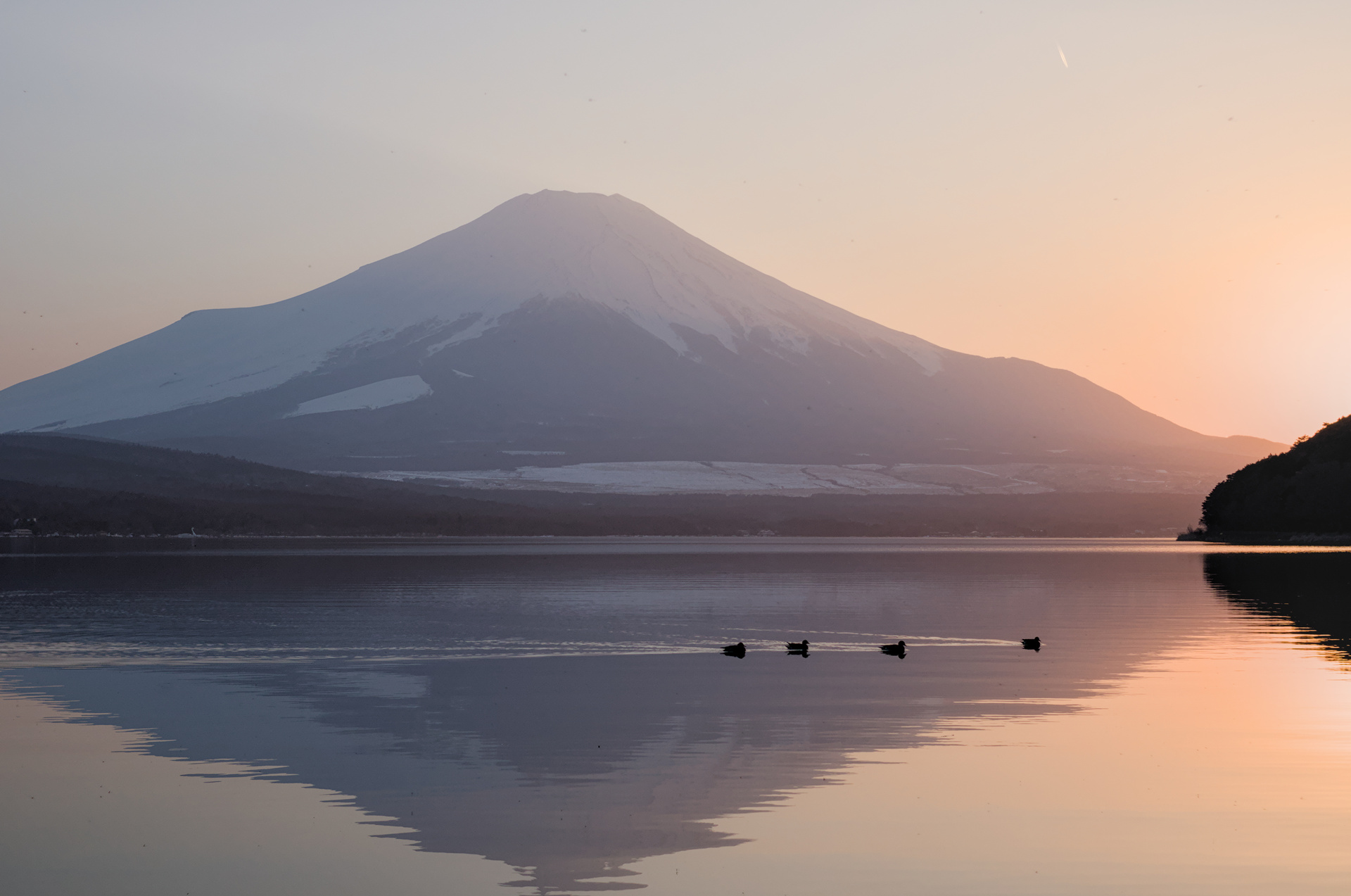 Mount Fuji during sunset with its reflection in a lake and a family of ducks swimming by.
